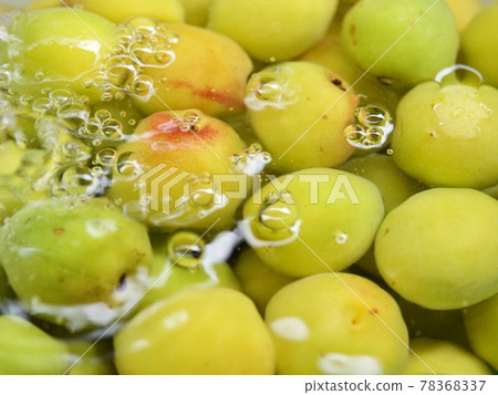 製作梅子汁、製作梅子糖漿、手工梅子、南港梅子 78368337