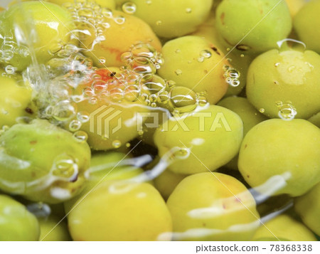 用水洗梅子的圖像梅南科梅梅汁 78368338