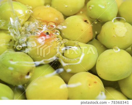 Plum washing Plum washing 78368341