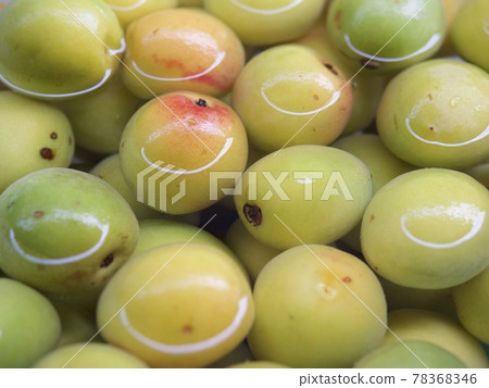 Plum alcohol for plum wine, plum wine making, plum wine Plum alcohol for plum wine, plum wine making, plum wine 78368346