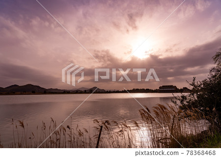 Evening view of Yonago Waterbird Park in spring, Yonago City, Tottori Prefecture 78368468