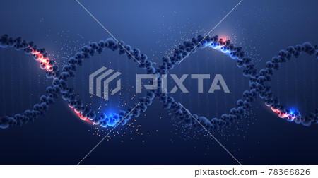 human genetic DNA helical molecule structure...-插圖素材 [78368826] - PIXTA圖庫