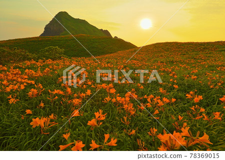 Sado Island, Sado City, Niigata Prefecture Onogame Tobishima licorice colony at dusk 78369015