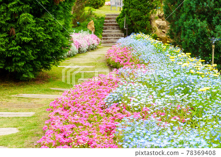 A park with lovely flowers in the flowerbed 78369408