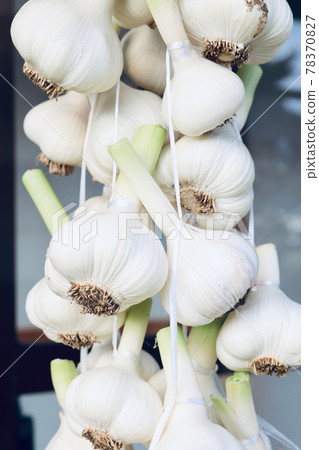 將新鮮大蒜晾乾。白六件 78370827