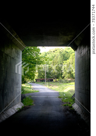 A road leading to the green trees over the tunnel A road leading to the green trees over the tunnel 78371744