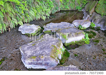 [風玄堂泉水源]鹿兒島市志布志市有明町穗原 78371900