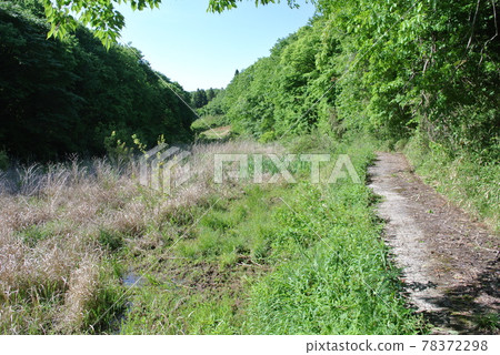 The ruins of Yatsuda, which became abandoned cultivated land and became rough The ruins of Yatsuda, which became abandoned cultivated land and became rough 78372298