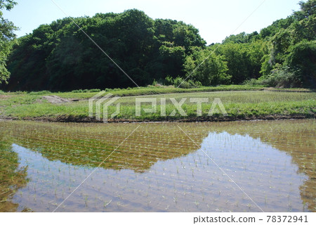 Yatsuda after rice planting 78372941