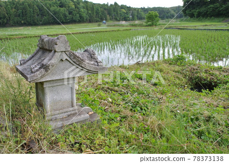 稻田之神,站在已種植的稻田旁邊 稻田之神,站在已種植的稻田旁邊 78373138