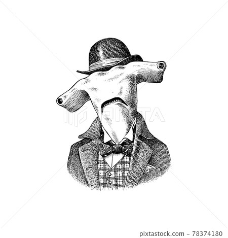 Great hammerhead shark man in hat and suit. Marine mammal. Victorian gentleman or aristocrat 78374180