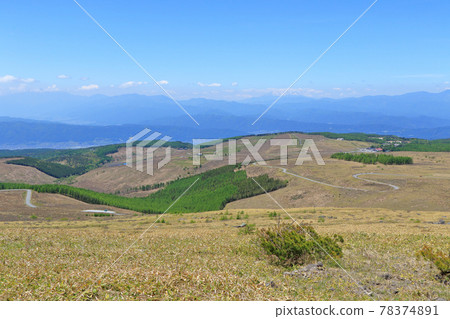 May Venus Line Kirigamine 78374891