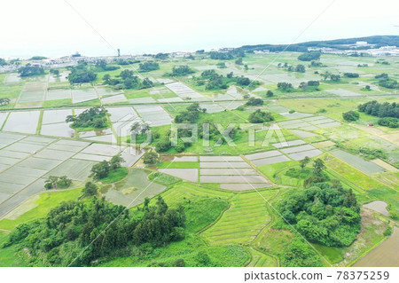 初夏的九十九島 78375259