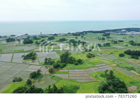 初夏的九十九島 78375260