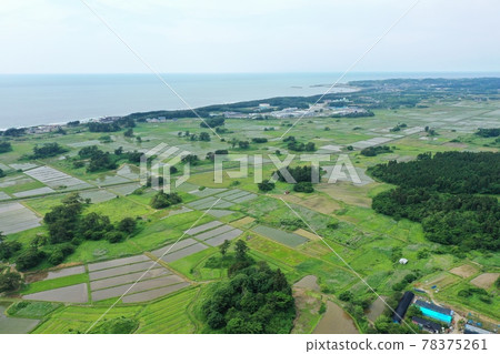 初夏的九十九島 78375261