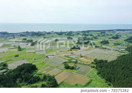 初夏的九十九島 78375262