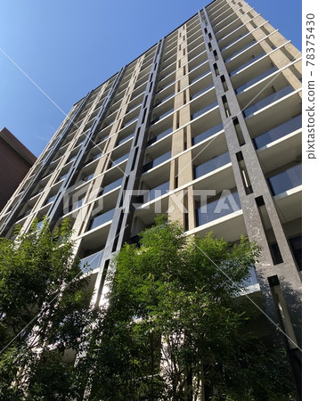 (Tokyo) View from the apartment 78375430