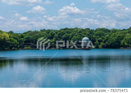 初夏的村山水庫(多摩湖)風光 初夏的村山水庫(多摩湖)風光 78375471