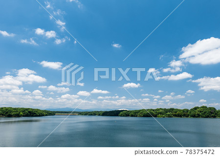 初夏的村山水庫（多摩湖）風光 78375472