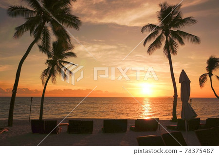 Sunset and the sea Sunset and the sea 78375487