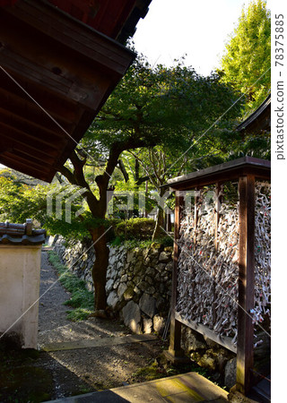 Hamamatsu Iwamizu Temple 78375885