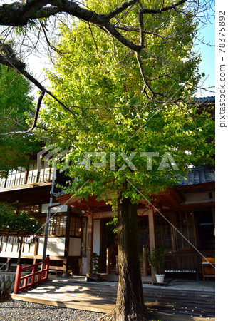 Hamamatsu Iwamizu Temple 78375892