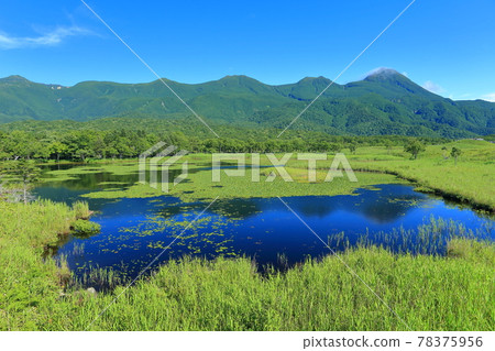 [北海道]知床五湖在晴朗的天氣下 78375956