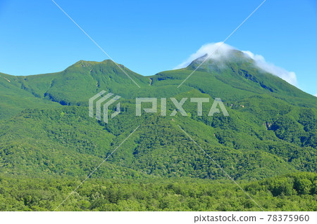 [Hokkaido] Shiretoko Mountain Range in Midsummer 78375960