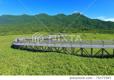 [北海道]仲夏知床山脈 78375965