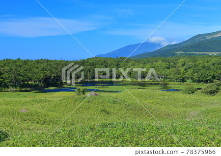 [Hokkaido] Shiretoko Mountain Range in Midsummer 78375966