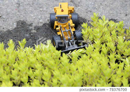 Wheel loader of a miniature car that destroys a colony of Sedum sarmentum 78376700