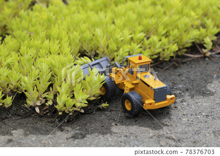 Wheel loader of a miniature car that destroys a colony of Sedum sarmentum 78376703