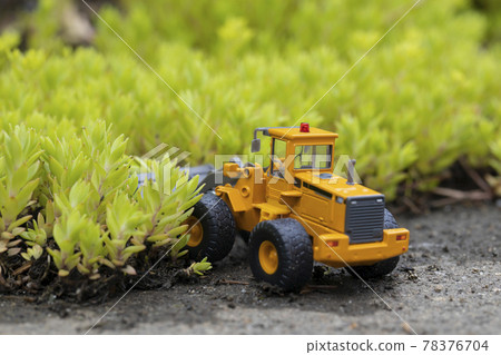 Wheel loader of a miniature car that destroys a colony of Sedum sarmentum 78376704