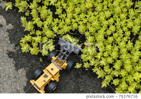 Wheel loader of a miniature car that destroys a colony of Sedum sarmentum Wheel loader of a miniature car that destroys a colony of Sedum sarmentum 78376716