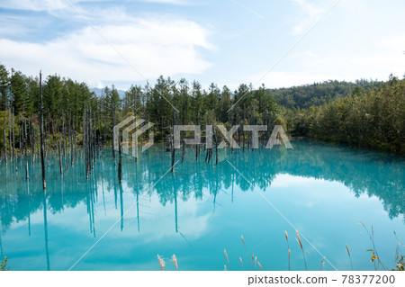 Blue lake reflecting the blue sky 78377200