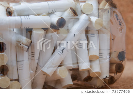 Butts, squirrels, iQOS, cigarettes, cigarettes, smoking, smoking, health, health hazards, second-hand smoke Butts, squirrels, iQOS, cigarettes, cigarettes, smoking, smoking, health, health hazards, second-hand smoke 78377406