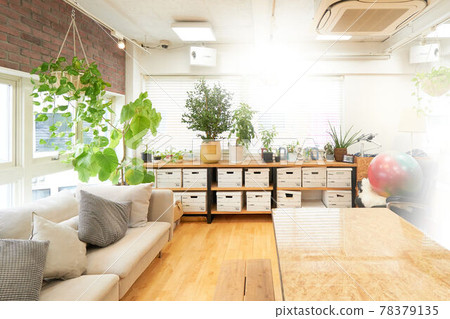 Interior view of the living room decorated with green Interior view of the living room decorated with green 78379135