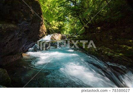 Beautiful scenery of Kikuchi Gorge when it was fresh green Beautiful scenery of Kikuchi Gorge when it was fresh green 78380027