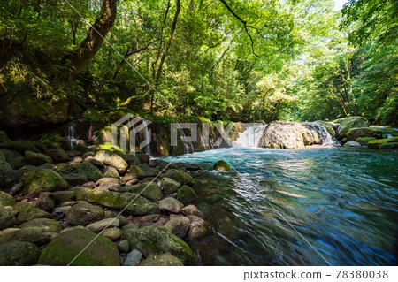 Beautiful scenery of Kikuchi Gorge when it was fresh green 78380038