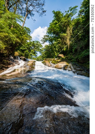 Beautiful scenery of Kikuchi Gorge when it was fresh green 78380062