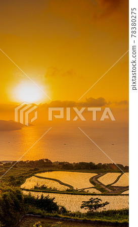 東五畑田田日落 78380275