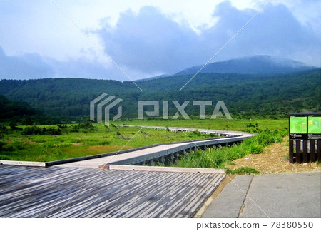 淨土平沼澤吾妻山脈萬代吾妻鐮沼木板路 淨土平沼澤吾妻山脈萬代吾妻鐮沼木板路 78380550