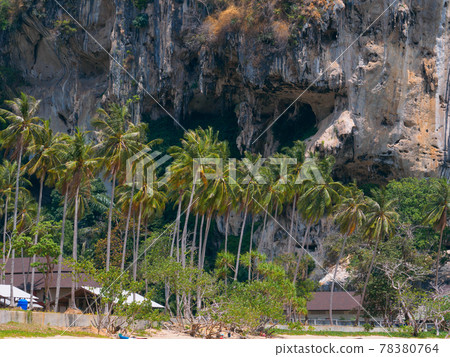 棕櫚樹排列在岩壁前（泰王國甲米府萊萊） 78380764