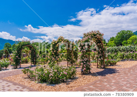 ローズガーデン BARONA ROSE GARDEN - Updated August 2025 - 1932 Barona Rd