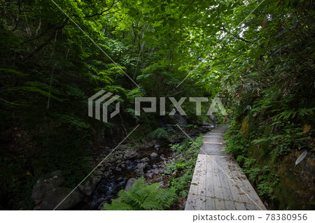 《Miyagi Prefecture》 Onikobe / Jigokudani Promenade 《Miyagi Prefecture》 Onikobe / Jigokudani Promenade 78380956