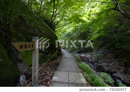 《Miyagi Prefecture》 Onikobe / Jigokudani Promenade 《Miyagi Prefecture》 Onikobe / Jigokudani Promenade 78380957