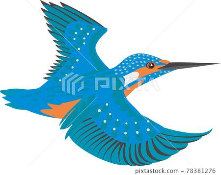 Kingfisher Kingfisher 78381276
