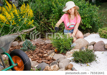 Child cultivating alpine rock garden helping parents Child cultivating alpine rock garden helping parents 78381641