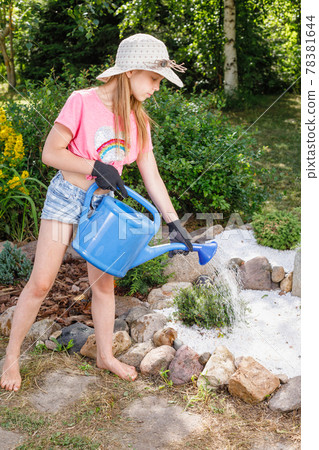 Child watering Juniper tree in alpine rock garden Child watering Juniper tree in alpine rock garden 78381644