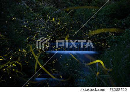 源氏螢火蟲的Ranbu 78382730